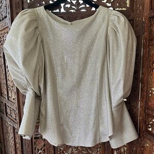 Gracia Shimmering Cream Puff Sleeve Blouse